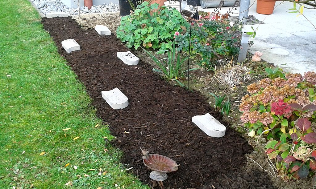 Klick für eine vergrößerte Abbildung Bild