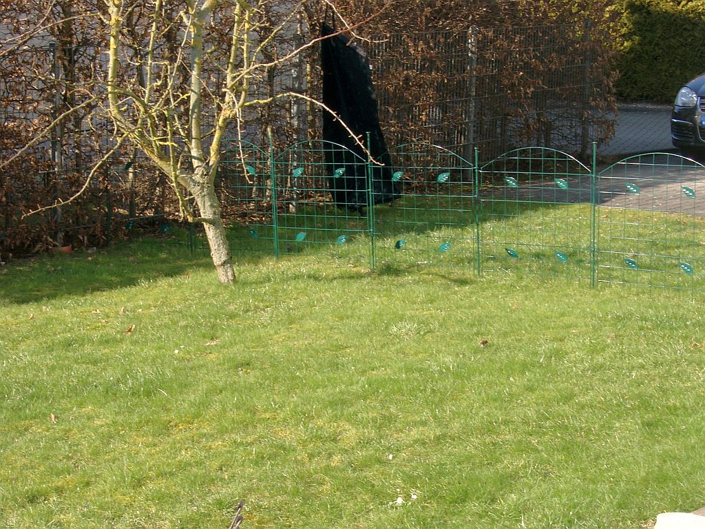 Klick für eine vergrößerte Abbildung Bild