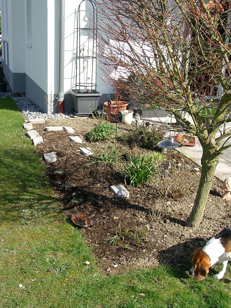 Klick für eine vergrößerte Abbildung Bild