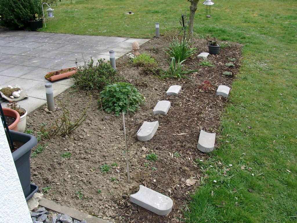 Klick für eine vergrößerte Abbildung Bild