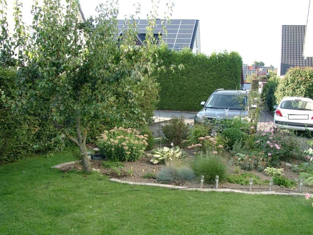 Klick für eine vergrößerte Abbildung Bild