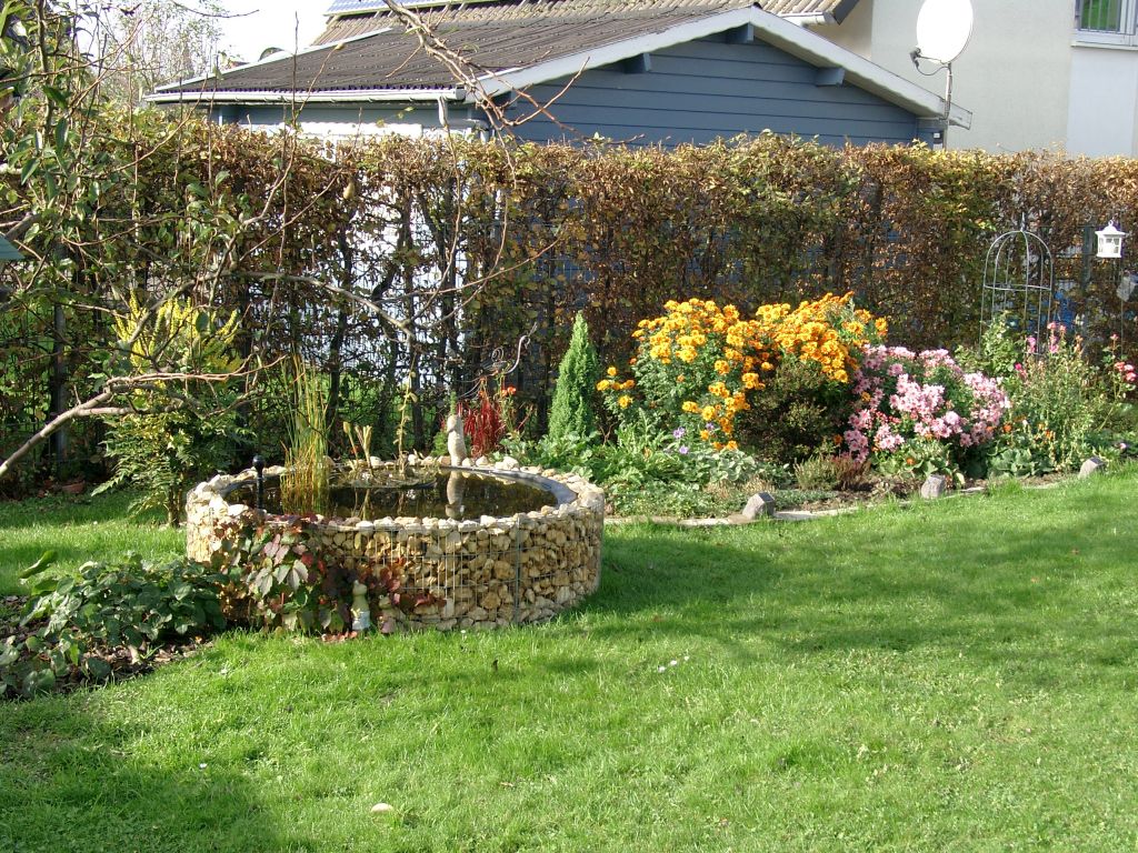 Klick für eine vergrößerte Abbildung Bild