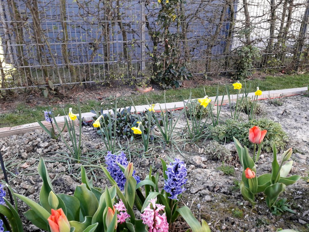 Klick für eine vergrößerte Abbildung Bild