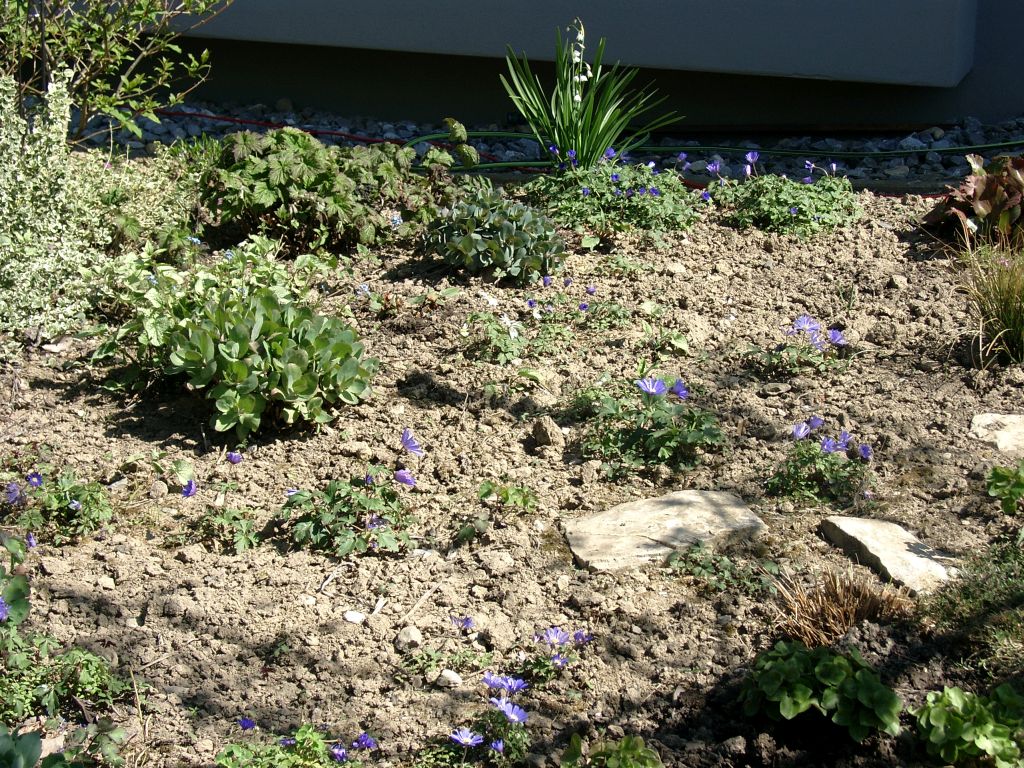 Klick für eine vergrößerte Abbildung Bild