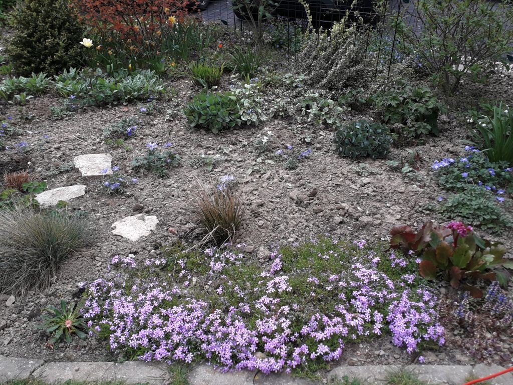 Klick für eine vergrößerte Abbildung Bild