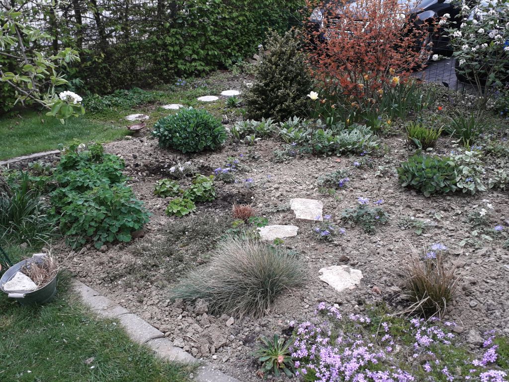 Klick für eine vergrößerte Abbildung Bild