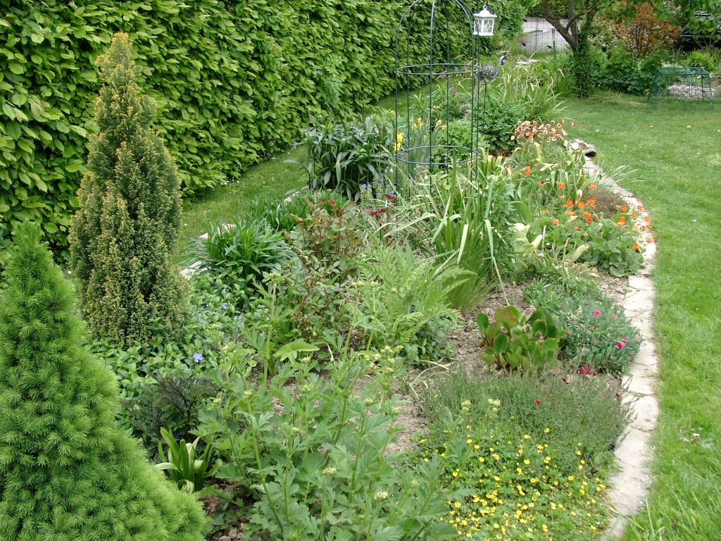 Klick für eine vergrößerte Abbildung Bild