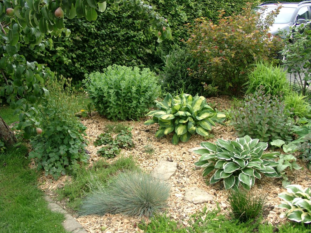 Klick für eine vergrößerte Abbildung Bild